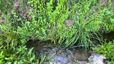 Rustic finca in Tavizna photo 7