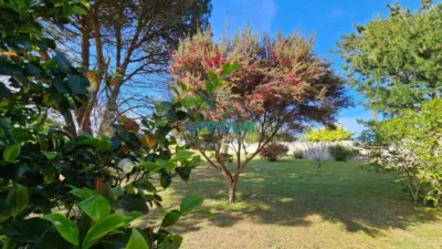 Terreno en venta en Calle Polígono 192 Parcela 414 Agra Da Leira Carballo - Más