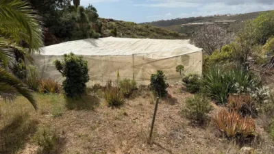 House in La Sabinita photo 40