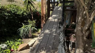 House in La Sabinita photo 4