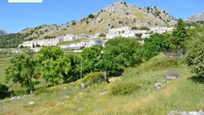 House in Benaocaz photo 14
