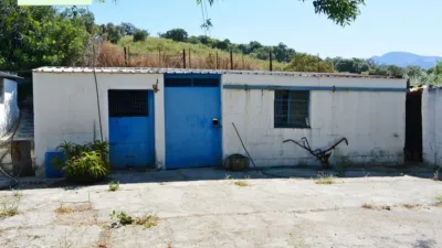 Rustic finca in Tavizna photo 4