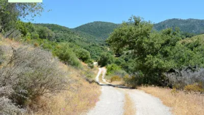 Rustic finca in Tavizna photo 6