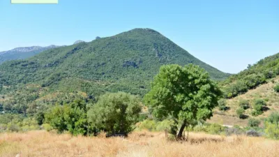 Rustic finca in Tavizna photo 7