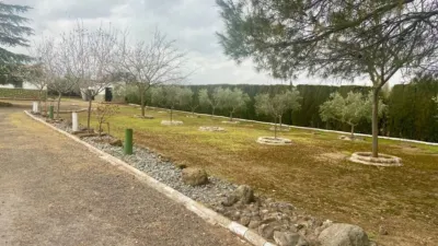 Miniatura 7