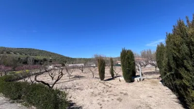 Rustic farm on Diseminado Street photo 28
