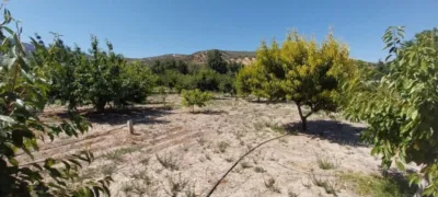 Rustic farm on Diseminado Street photo 2