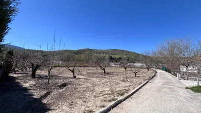 Rustic farm on Diseminado Street photo 32
