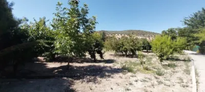 Rustic farm on Diseminado Street photo 57