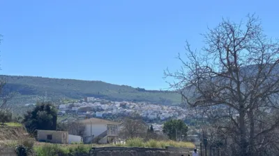 Rustic farm on Diseminado Street photo 81