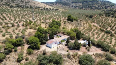 Finca rústica en Andalucia photo 2