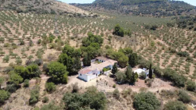 Finca rústica en Andalucia photo 62