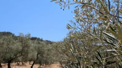 Finca rústica en Andalucia photo 65