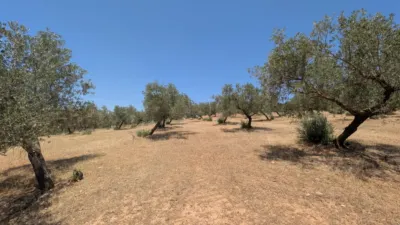 Finca rústica en Andalucia photo 70