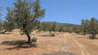 Finca rústica en Andalucia photo 73