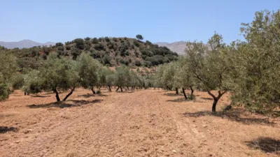 Finca rústica en Andalucia photo 76