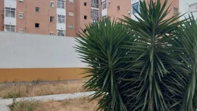 Apartment on Uruguay Street photo 24