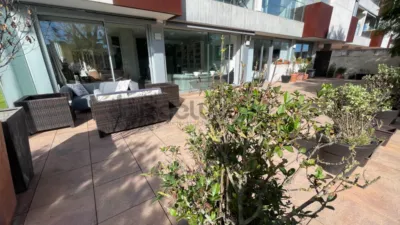 Apartment in Monte photo 17