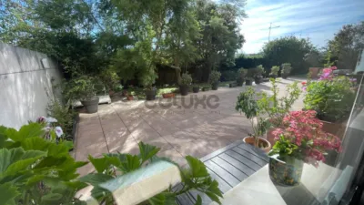 Apartment in Monte photo 20