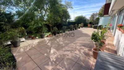 Apartment in Monte photo 23
