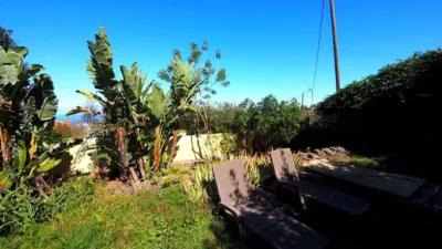 Finca rústica en venta en Icod de los Vinos, Cañada (Icod de Los Vinos) de 550.000 €