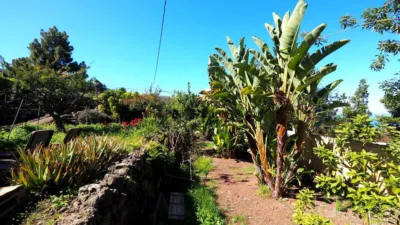 Finca rústica en venta en Icod de los Vinos, Cañada (Icod de Los Vinos) de 550.000 €