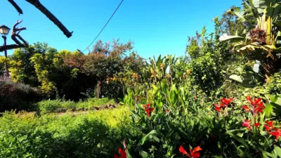 Finca rústica en venta en Icod de los Vinos, Cañada (Icod de Los Vinos) de 550.000 €