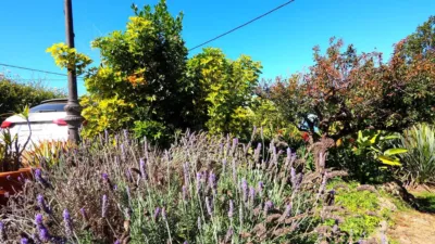 Finca rústica en venta en Icod de los Vinos, Cañada (Icod de Los Vinos) de 550.000 €