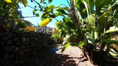 Finca rústica en venta en Icod de los Vinos, Cañada (Icod de Los Vinos) de 550.000 €