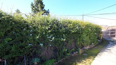 Finca rústica en venta en Icod de los Vinos, Cañada (Icod de Los Vinos) de 550.000 €