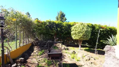 Finca rústica en venta en Icod de los Vinos, Cañada (Icod de Los Vinos) de 550.000 €