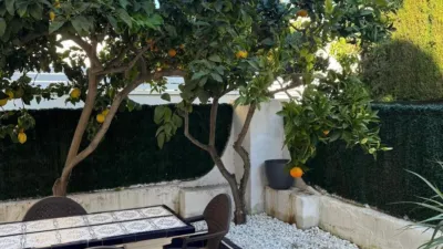 Casa – Torrevieja - Más