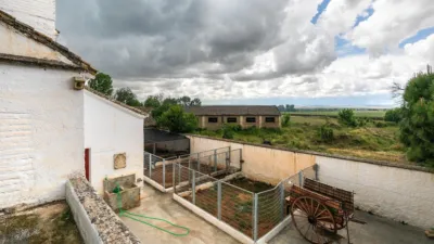 Finca rústica en Vega de Granada Zona Noroeste photo 38