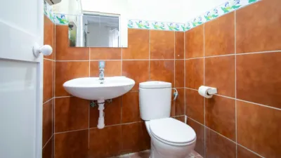 Chalet in Alcalá de Guadaira photo 37