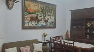 House in El Pedroso photo 4