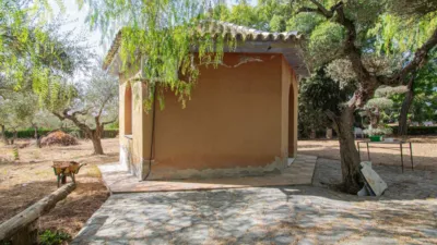 Rustic Finca in Mairena photo 43