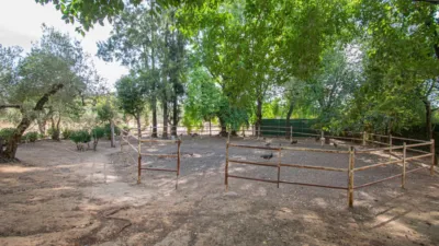 Rustic Finca in Mairena photo 49