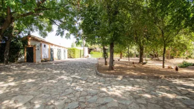 Rustic Finca in Mairena photo 50