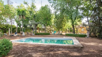 Rustic Finca in Mairena photo 55