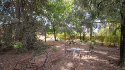 Rustic Finca in Mairena photo 57