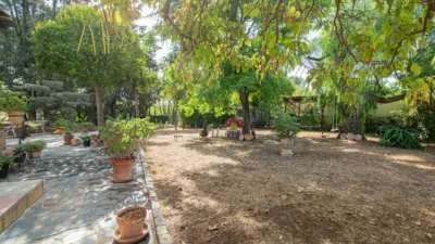 Rustic Finca in Mairena photo 65