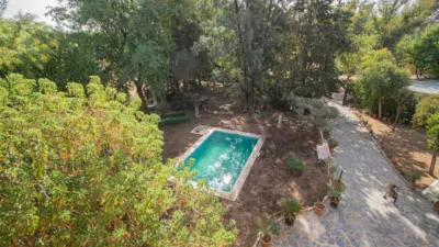 Rustic Finca in Mairena photo 67