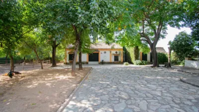 Rustic Finca in Mairena photo 69