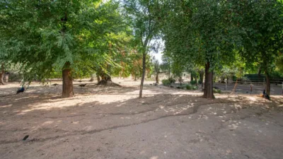 Rustic Finca in Mairena photo 71