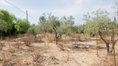 Rustic Finca in Mairena photo 73