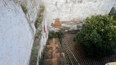 House in the Centre photo 32