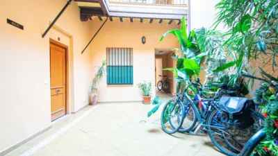 Apartment in Feria photo 17
