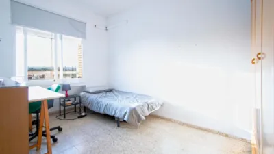 Apartment in Reina Mercedes - Heliópolis photo 12