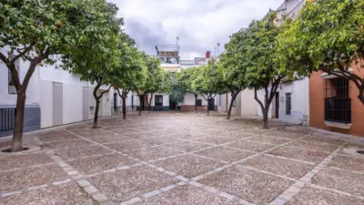 Apartment in Feria photo 2