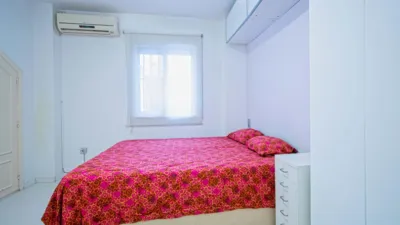 Apartment in San Vicente photo 13